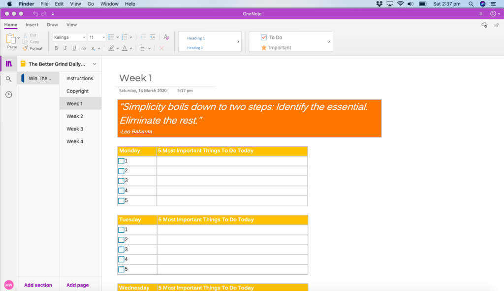 Free OneNote Template to Track Daily Wins Screenshot