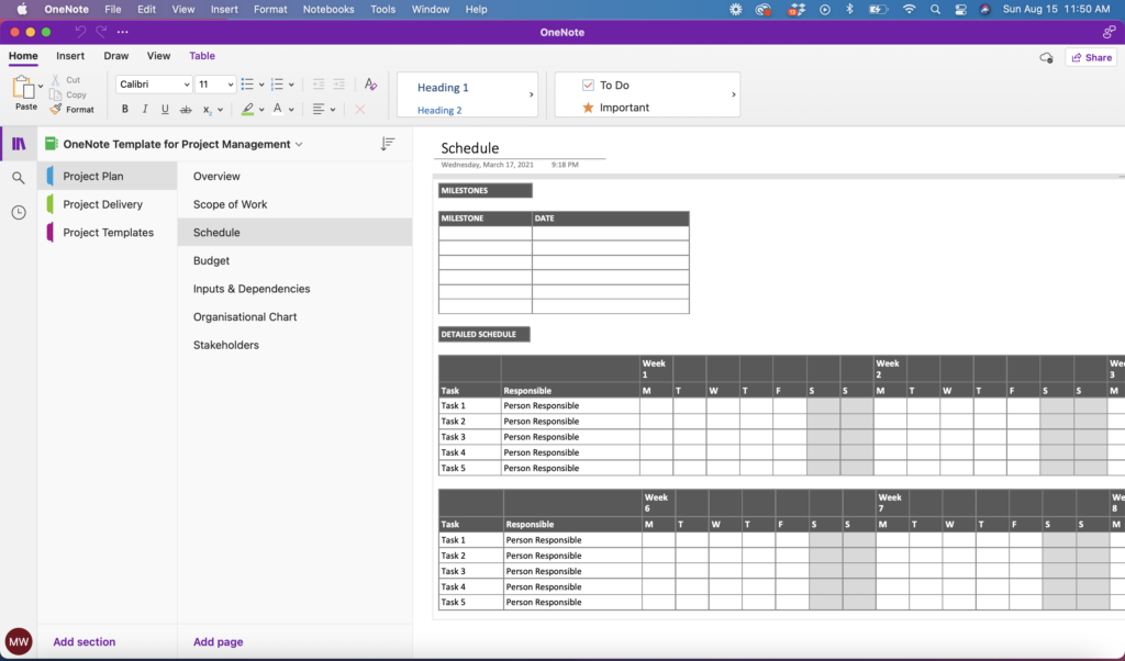 OneNote Template for Project Management - Project Plan Schedule